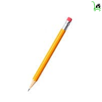 Pencil, Sooper Cart, Online Grocery Store of online food, fruits, vegetables, oil, ghee, pluses, beverages, soaps and shampoo in Islamabad, Gujranwala, Sialkot, Faisalabad and Multan for Online Shopping Pakistan.