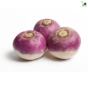 Buy Online Turnip 1kg (شلجم) By Sooper Cart Online Grocery Store